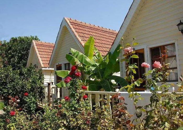 מלון Nova סייד